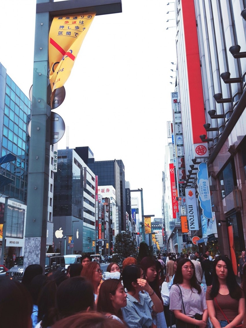 image_5147589031467561971370.jpg